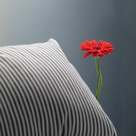 The Grey House בית נופש הונפלר