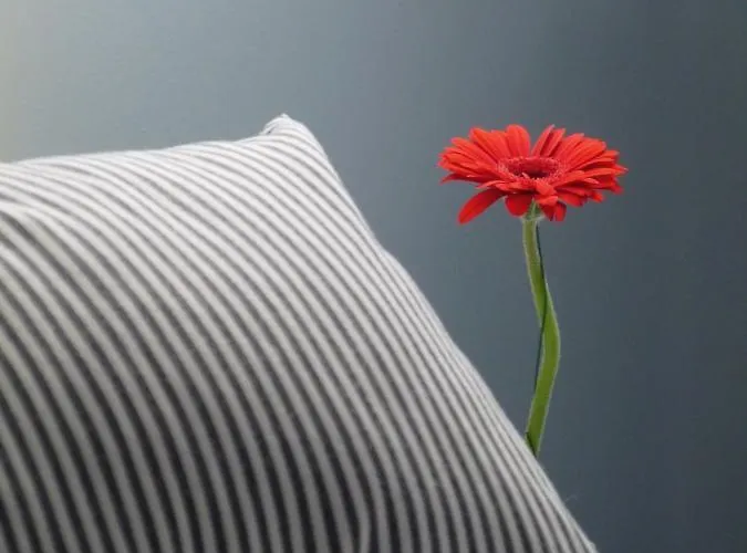 The Grey House Дом отдыха Онфлёр